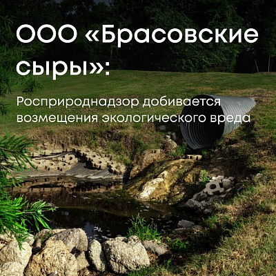 Росприроднадзор обратился с иском к ООО «Брасовские сыры» — по вине компании был загрязнен ручей Безымянный в Брянской области