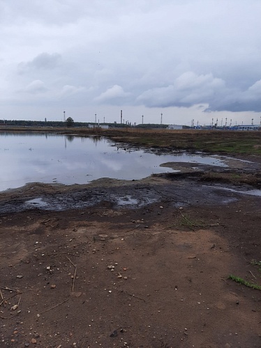 ООО «ЛУКОЙЛ-Волгоградэнерго» добровольно оплатило вред, причиненный почвам, в результате их загрязнения нефтепродуктами 