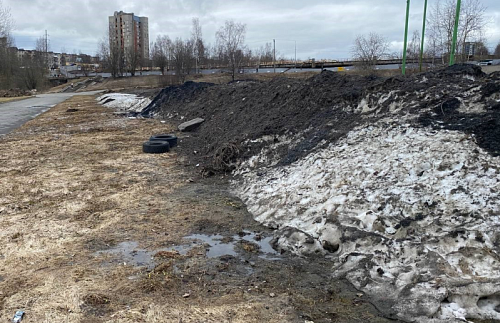 Балтийско-Арктическое межрегиональное управление Росприроднадзора обратилось с требованием к Администрации Петрозаводского городского округа о добровольном возмещении вреда, причинённого почвам