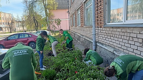 Сотрудники ЦЛАТИ по Псковской области провели субботники на территориях Филиала