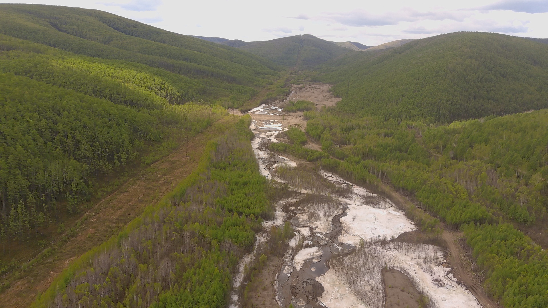 Незаконная добыча золота: Амурская область