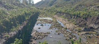 В Алтайском крае золотодобывающее предприятие нанесло ущерб почвам на 63,4 млн рублей