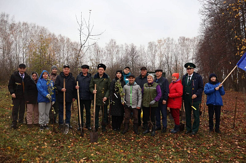Сотрудник Росприроднадзора принял участие в посадке яблоневого сада в Сармановском районе