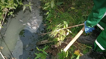 ЖКХ «Эксперт» обязано возместить экологический ущерб в Кировской области