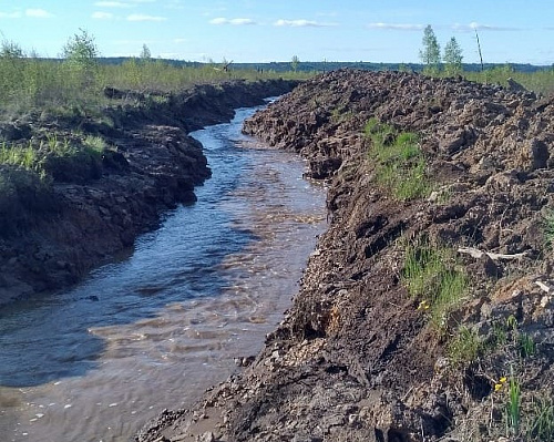 Суд удовлетворил иски Росприроднадзора о взыскании свыше 3 млн рублей за причинение вреда водным объектам Владимирской области