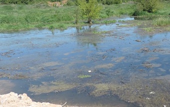 В Воронежской области Росприроднадзор добивается от МООО «Новоусманское коммунальное хозяйство» возмещения вреда почвам