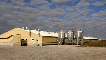 Росприроднадзор добивается от ООО «Черкизово-Свиноводство» возмещения более 9,1 млн рублей за причиненный ущерб недрам