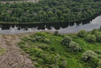 Суд обязал виновника загрязнения реки Битюг возместить ущерб