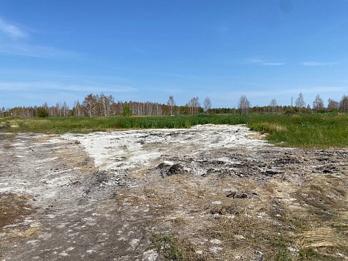ООО «Новосибирскагропромдорстрой» добровольно возместило ущерб, причиненный почвам в Татарском районе Новосибирской области