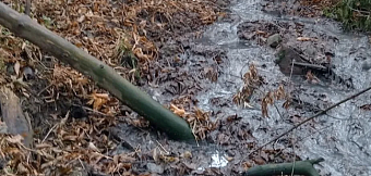 В Кемеровской области вред почвам, нанесенный сточными водами, составил 22,5 млн рублей