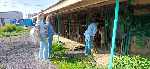 Сотрудники СЗМУ Росприроднадзора познакомились с обитателями приюта для собак в Великом Новгороде