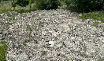 В Брянской области суд обязал нарушителя выплатить более 21 млн рублей за незаконное размещение отходов