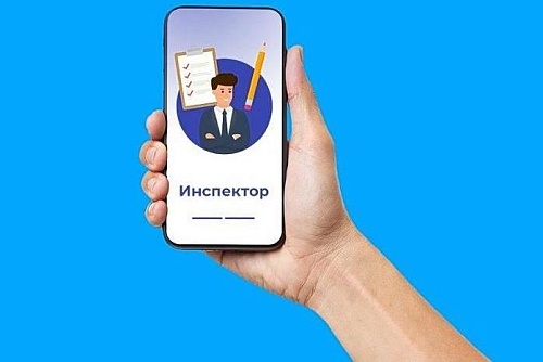 Проведение профилактических визитов и консультаций с использованием мобильного приложения «Инспектор»