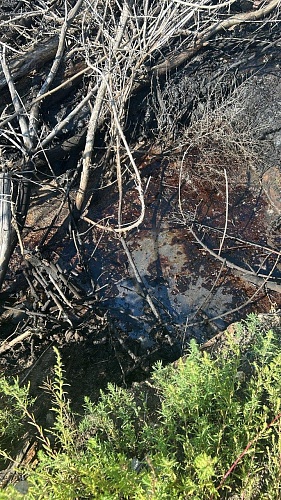 Центрально-Черноземное управление Росприроднадзора требует с администрации города Липецка добровольно оплатить вред, причиненный почвам