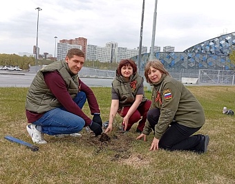 В Новосибирске в память о погибших в годы Великой Отечественной войны высадили молодые ели