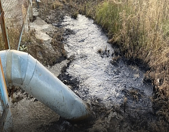 АО «Томскнефть» ВНК добровольно возместило вред почвам на сумму более 49 млн рублей
