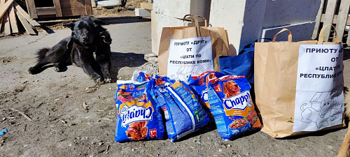 Специалисты «ЦЛАТИ по Республике Коми» помогли приюту для собак