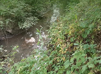 Владелец земельного участка в Воронежской области обязан возместить ущерб почвам