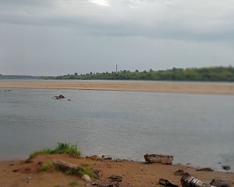 Суд обязал ООО «ВВКС» возместить вред р. Пижме в Кировской области