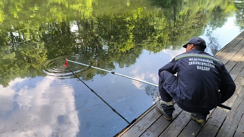 В Курской области Центрально-Черноземное управление Росприроднадзора оценивает ущерб в результате сброса нефтесодержащей смеси в р. Сейм 
