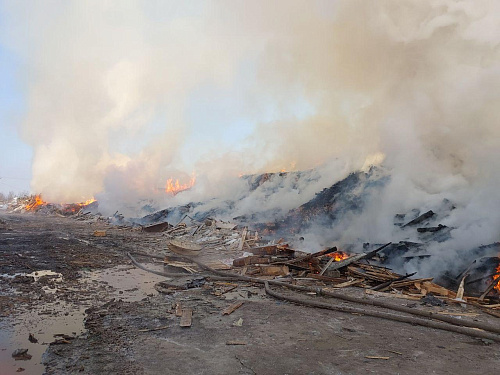 СЗМУ Росприроднадзора провело выездное обследование по факту возгорания древесных отходов на Волхонском шоссе