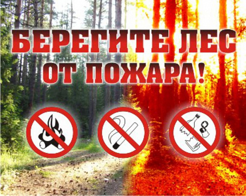 Якутская природоохранная прокуратура разъясняет: с 1 января 2021 года вводятся единые требования к мерам пожарной безопасности в лесах