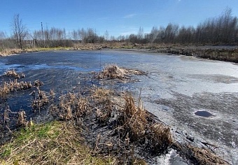 В Нижегородской области будет взыскано 2,6 млн рублей за ущерб почвам