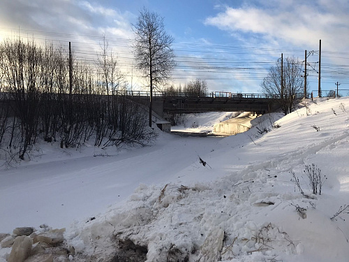 Инспекторы Росприроднадзора осмотрели реку Сестра в Курортном районе Петербурга после сообщений о ДТП с бензовозом