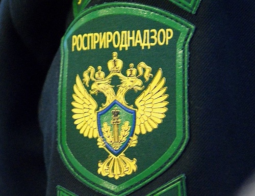 Приамурское межрегиональное управление Росприроднадзора информирует об оказании государственной услуги по выдаче разрешения СИТЕС посредством единого портала государственных услуг