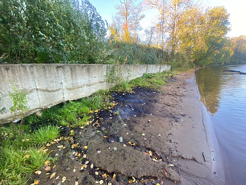 Загрязнение реки Нева в Отрадном может быть вызвано деятельностью ликвидированного мачтопропиточного завода 