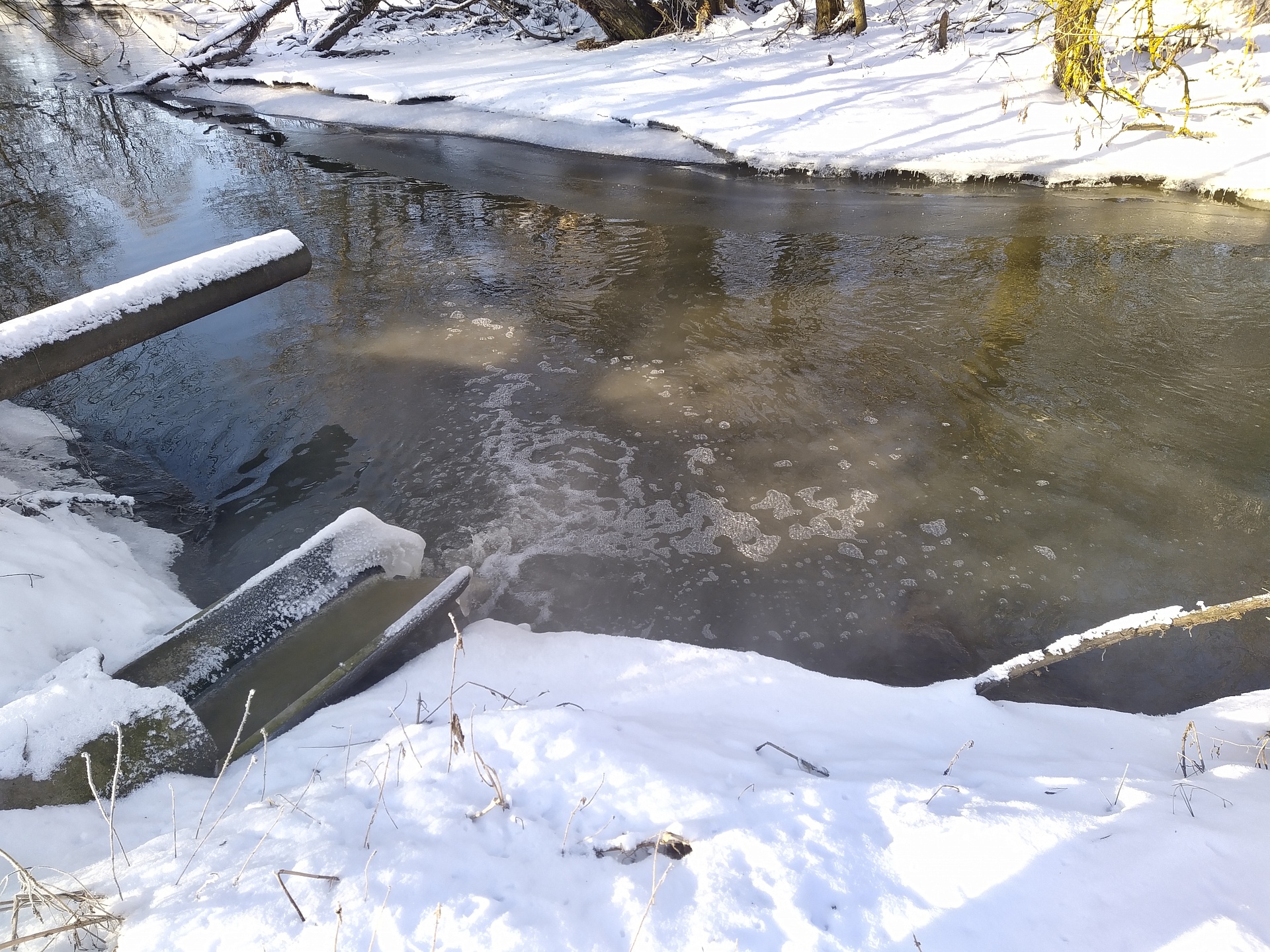 Центрально-Черноземное управление Росприроднадзора по результатам внеплановой проверки ГУП «Белоблводоканал» вновь выявило нарушение предприятием природоохранного законодательства
