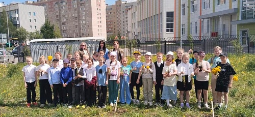 Сотрудники Северного управления Росприроднадзора высадили деревья в Вологде