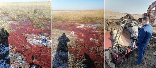 Недропользователь добровольно оплатил вред, причиненный окружающей среде в Запорожской области на сумму более 2 млн. рублей