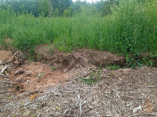 Росприроднадзор выявил факт снятия плодородного слоя почвы в Уржумском районе Кировской области