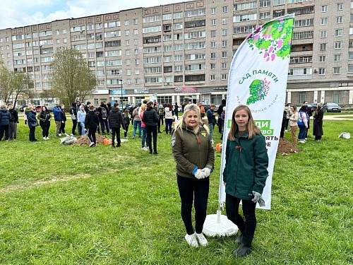 Сотрудники Росприроднадзора Вологодской области приняли участие в акции «Сад памяти»