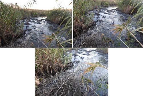 Росприроднадзор требует от ГУП РК «Вода Крыма» возмещения вреда в размере более 1 млн 380 тыс. рублей, причиненного озеру Сакское в Республике Крым 