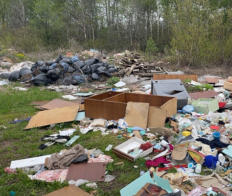 Росприроднадзор выявил ответственного за возникновение несанкционированной свалки в деревне Кусаковка Нижегородской области