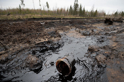 Росприроднадзор отобрал пробы на месте нефтезагрязнения в Саратовской области