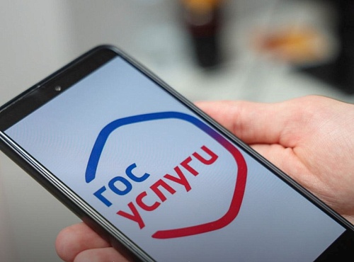 Досудебное обжалование решений контрольных органов на Госуслугах