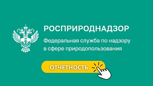 Росприроднадзор выявил нарушения экологической отчетности у  предприятия в Балаково