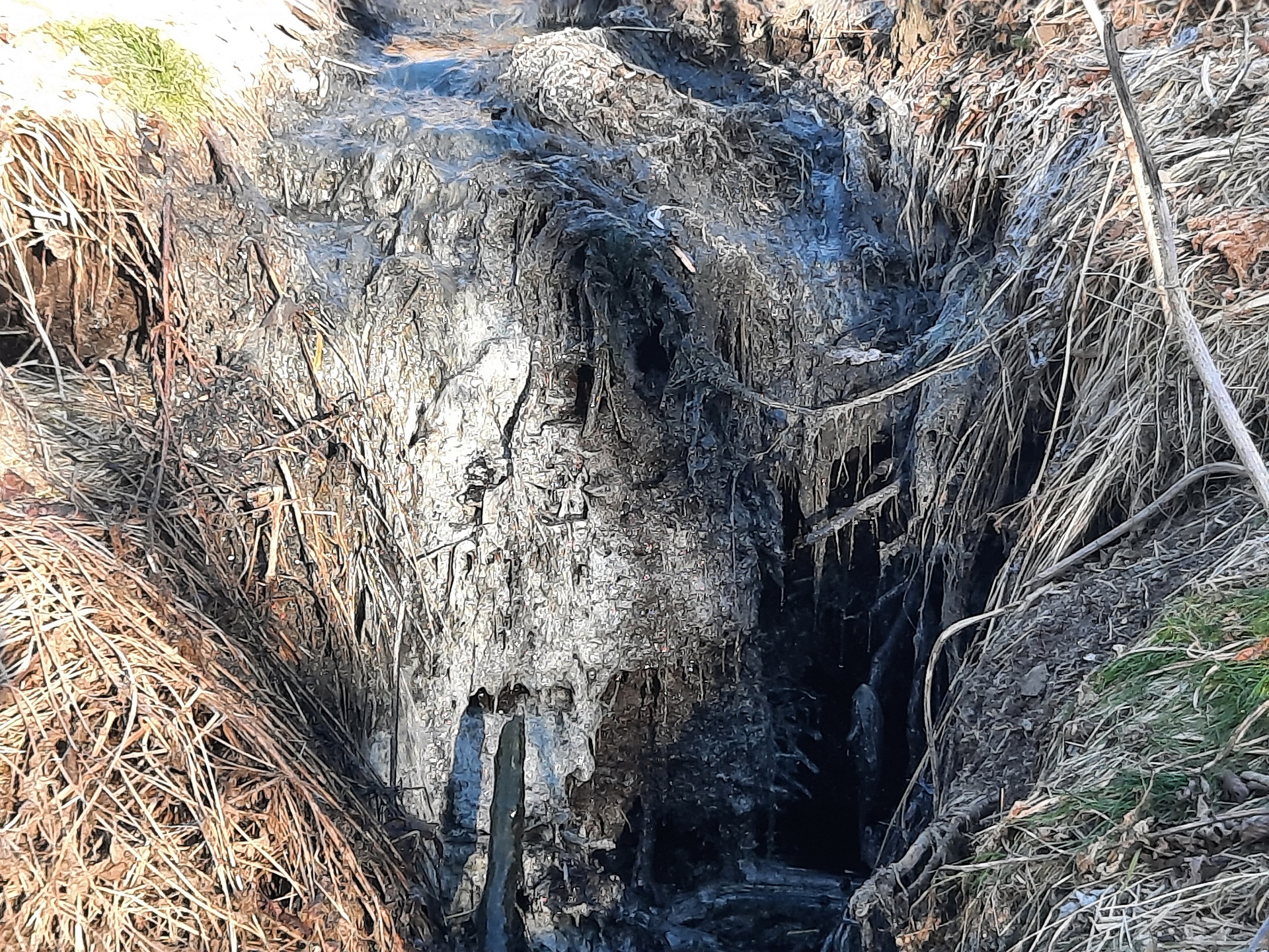 Арбитражный суд поддержал Росприроднадзор в деле о взыскании с КГУП «Камчатский водоканал» более 4 млн. рублей за ущерб водному объекту