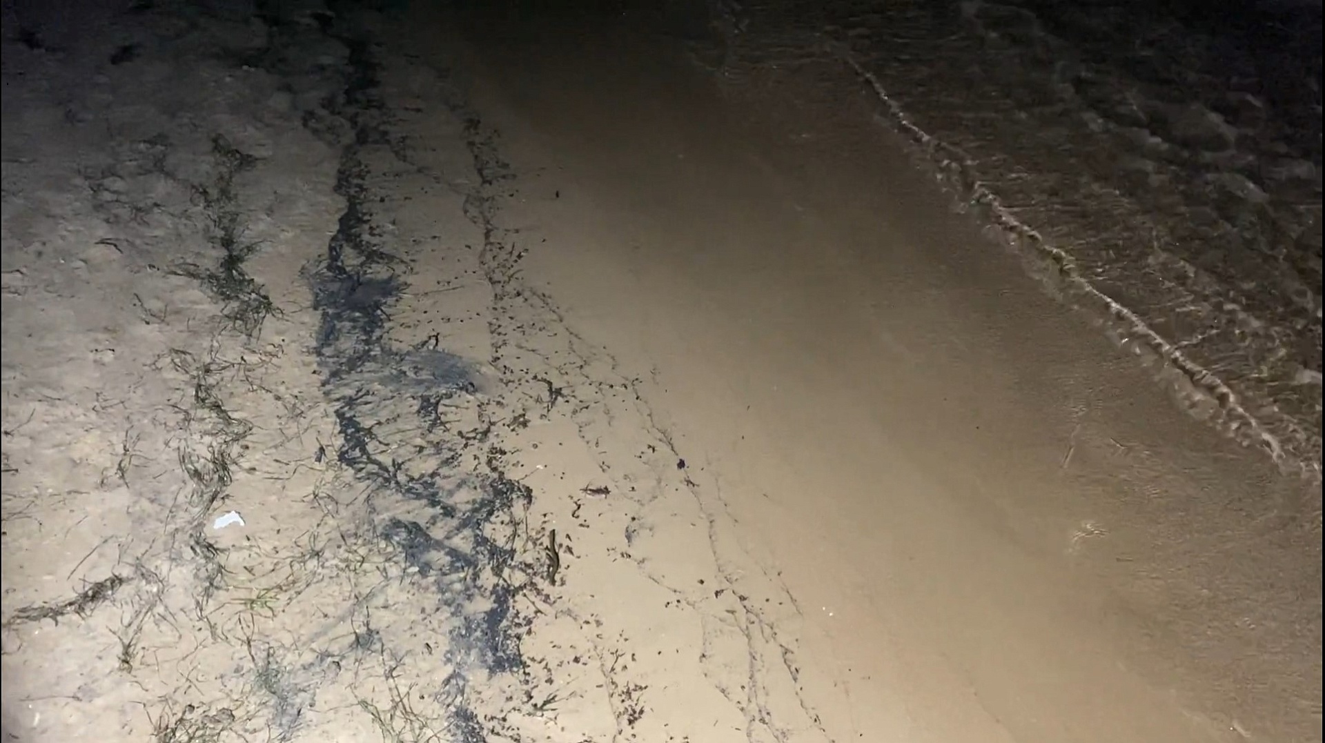 В пос. Волна Темрюкского района выявлено загрязнение Черного моря 