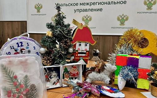 Сотрудники Уральского межрегионального управления Росприроднадзора и их дети присоединились к акции «Экоелка»