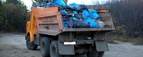 Росприроднадзор вынес постановление в отношении директора ООО «Чистый город»