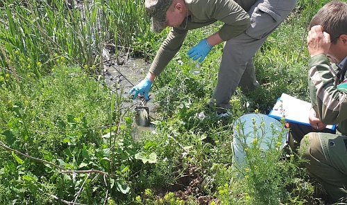 Росприроднадзор на территории Волгоградской области взыскал вред, причиненный почвам в размере более 14 млн. рублей