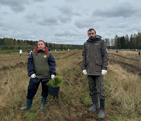 Сотрудники СЗМУ Росприроднадзора приняли участие во Всероссийской экоакции «Сохраним лес»