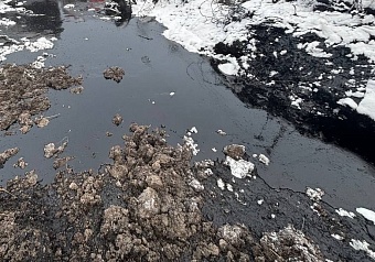«Татнефть» возместила более 11,3 млн рублей за нанесенный ущерб почвам