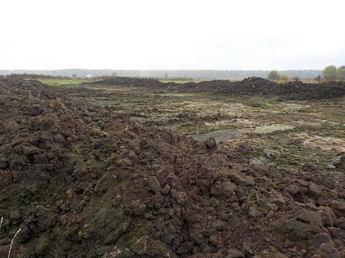 Сотрудники Росприроднадзора произвели расчет размера вреда, причиненного почвам в Республике Марий Эл 