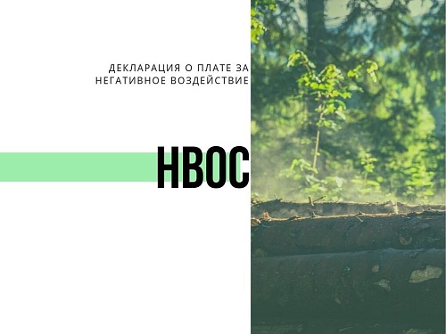 Росприроднадзор вынес предостережение ООО "Трансоил" за нарушение природоохранного законодательства