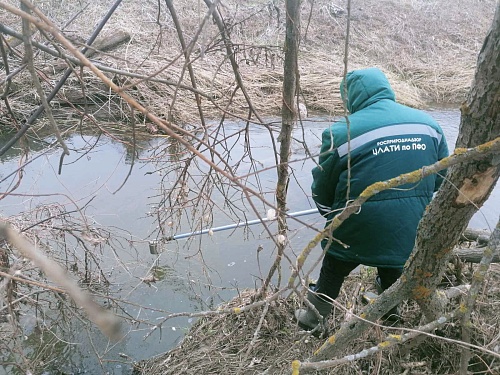 Росприроднадзор работает на месте загрязнения реки Чугунки в Нижегородской области